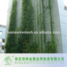 Baoding Baina Stainless Steel Climbing Wall Mesh For Sale